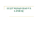 Bài giảng Luật ngoại giao và lãnh sự chuẩn nhất