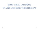 Thực trạng lao động và việc làm nông thôn hiện nay: Bài giảng chi tiết