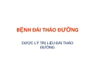 Bài giảng Bệnh đái tháo đường - Dược lý trị liệu đái tháo đường