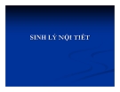 Bài giảng Sinh lý nội tiết