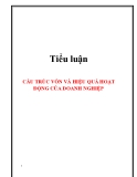 Cấu trúc vốn và hiệu quả hoạt động của doanh nghiệp: Tiểu luận chi tiết