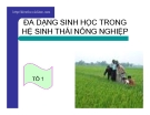 Bài giảng Đa dạng sinh học trong hệ sinh thái nông nghiệp