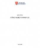 Giáo trình Công nghệ Vi sinh vật Phần 2 - ĐH Huế [Tải Ngay]