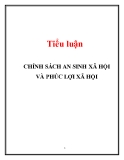 Tiểu luận: Chính sách an sinh xã hội và phúc lợi xã hội