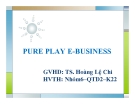 Thuyết trình: PURE PLAY E-BUSINESS