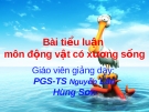 Bài tiểu luận môn Động vật có xương sống: Rắn độc Việt Nam và cách phòng tránh