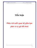 Tiểu luận Tài chính tiền tệ: Phân tích mối quan hệ giữa lạm phát và tỷ giá hối đoái chuẩn nhất