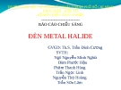 Đèn Metal Halide 2: Báo cáo môn Kỹ thuật chiếu sáng chi tiết