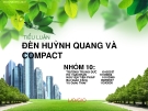 Đèn huỳnh quang và compact: Báo cáo môn Kỹ thuật chiếu sáng dân dụng và công nghiệp