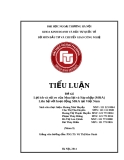 Tiểu luận Đầu tư quốc tế về Lợi ích và Rủi ro M&A (Mua lại và Sáp nhập) tại Việt Nam