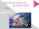 Bài Thuyết Trình Kinh Tế Môi Trường và Tài Nguyên Thiên Nhiên: Tổng Hợp