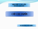 Bài giảng Giải phẫu: Cơ chi dưới - Bs. Hoàng Văn Sơn