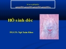 Bài giảng Giải phẫu: Hệ sinh dục - PGS.TS. Ngô Xuân Khoa