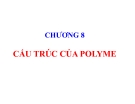 Bài giảng Hoá học và hoá lý polyme: Chương 8 (mới nhất)