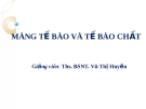 Bài giảng Màng tế bào và tế bào chất - Ths. Vũ Thị Huyền