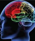 Đề cương chi tiết Sinh lý học hoạt động thần kinh cấp cao - GV Nguyễn Thị Minh Hằng