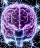 Bài tập Kỹ thuật số: Phần 1 - Nguyễn Trọng Luật (Giải chi tiết)