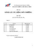 Báo cáo đánh giá tác động môi trường: Phát triển bền vững (nhóm 9)
