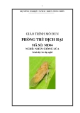 Giáo trình phòng trừ dịch hại MĐ04: Kinh nghiệm nhân giống lúa hiệu quả