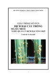 Giáo trình Dịch hại cây trồng: Quản lý dịch hại tổng hợp - MĐ01