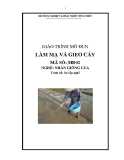 Giáo trình Làm mạ và gieo cấy MĐ02: Kinh nghiệm nhân giống lúa hiệu quả