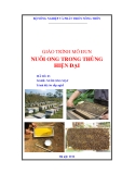Giáo trình Nuôi ong mật: Nuôi ong trong thùng hiện đại - MĐ03