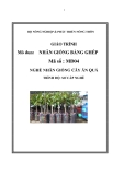 Giáo trình nhân giống cây ăn quả bằng ghép - MĐ04: Nhân giống bằng ghép