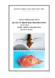 Giáo trình Quản lý dịch hại thanh long: Trồng thanh long (MĐ04)
