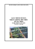 Giáo trình Nhân giống hồ tiêu - MĐ03: Trồng hồ tiêu