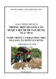 Giáo trình Trồng cây dược liệu dưới tán rừng: MĐ04 - Trồng và khai thác một số loài cây dưới tán rừng