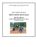 Giáo trình Nhân giống bằng hạt - MĐ02: Nhân giống cây ăn quả