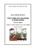 Giáo trình Vi nhân giống cây lâm nghiệp: Thực hiện các giai đoạn vi nhân giống - MĐ04