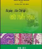 Bài giảng Atlas thực tập Giải phẫu bệnh (Phần 1) - ĐH Y khoa Phạm Ngọc Thạch