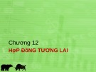 Bài giảng Quản trị danh mục đầu tư - Chương 12: Hợp đồng tương lai