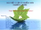 Bài tiểu luận Ô nhiễm môi trường nước