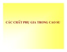 Bài giảng Các chất phụ gia trong cao su