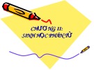 Bài giảng Sinh học di truyền: Chương 2 - Sinh học phân tử