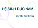 Bài giảng Hệ sinh dục nam -  BS. Trần Kim Thương
