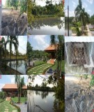 Bài giảng Kinh tế hộ và trang trại [Mới nhất]