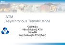 Asynchronous Transfer Mode (ATM): Bài giảng Kỹ thuật truyền số liệu chương 9