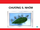Bài giảng Chương 5: Nhóm