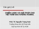 Chiến lược và giải pháp cho Việt Nam sau khủng hoảng: Bài giảng từ PGS.TS. Nguyễn Trọng Hoài