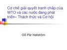 Bài giảng Cơ chế giải quyết tranh chấp của WTO và các nước đang phát triển – Thách thức và cơ hội