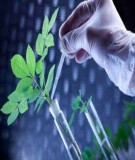Tài liệu ôn thi học sinh giỏi môn Sinh học: Phần 2 - Thịnh Văn Nam