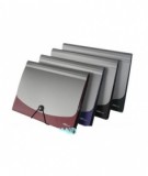 Sinh lý học tế bào thần kinh: Tổng quan và những điều cần biết