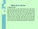Bài giảng Bệnh sán lá ruột lợn