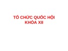 Bài giảng Tổ chức Quốc hội khóa XII: Kinh nghiệm và phân tích chuyên sâu