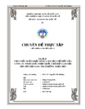 Chuyên đề thực tập: Thúc đẩy xuất khẩu hàng lâm sản chế biến của Công ty TNHH Xuất nhập khẩu chế biến lâm hải sản Sơn Hải sang thị trường Nhật Bản