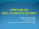 Bài giảng Viêm gan do siêu vi gan B ở sơ sinh - Huỳnh Thị Duy Hương