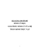 Bài giảng chuyên đề Sinh lý học: Giải phẫu sinh lý của hệ thần kinh thực vật